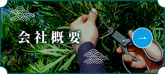 sp_banner_01
