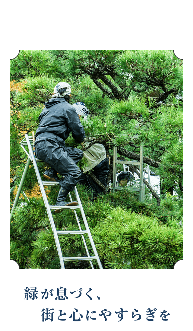 緑が息づく、街と心にやすらぎを